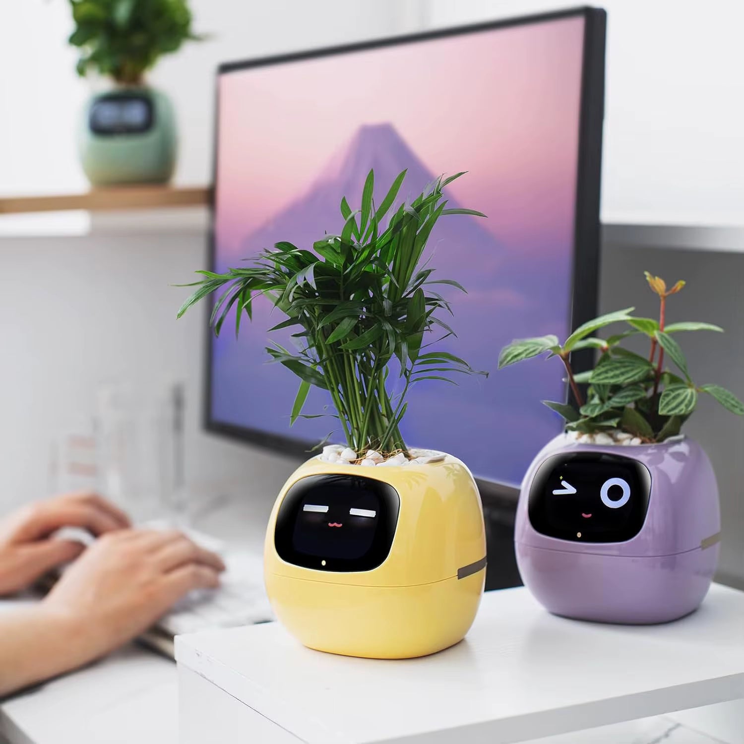 Transform Your Gardening Experience with the AI-Powered Smart Flower Pot - Real-Time Water Monitoring and Gesture Interaction for Effortless Plant Care
